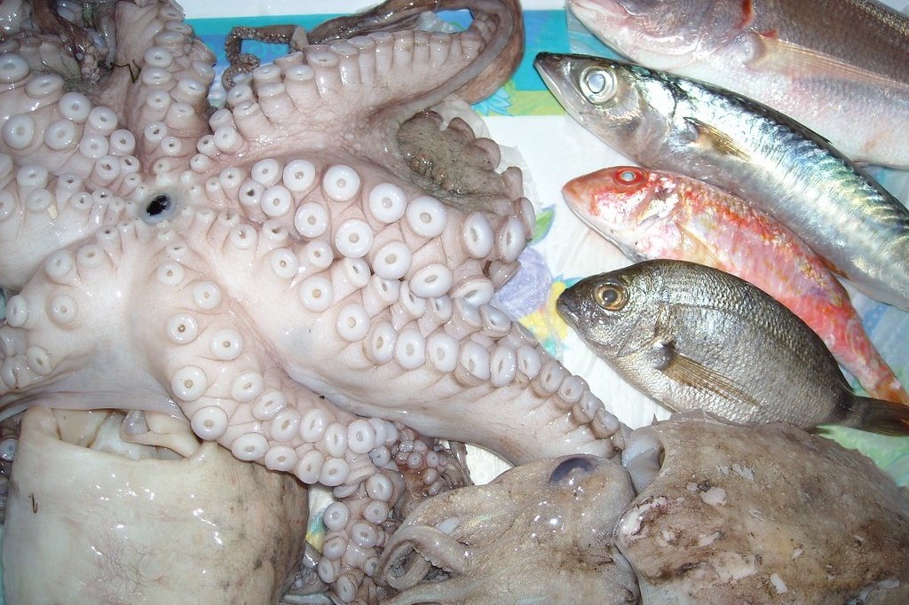海鮮水產